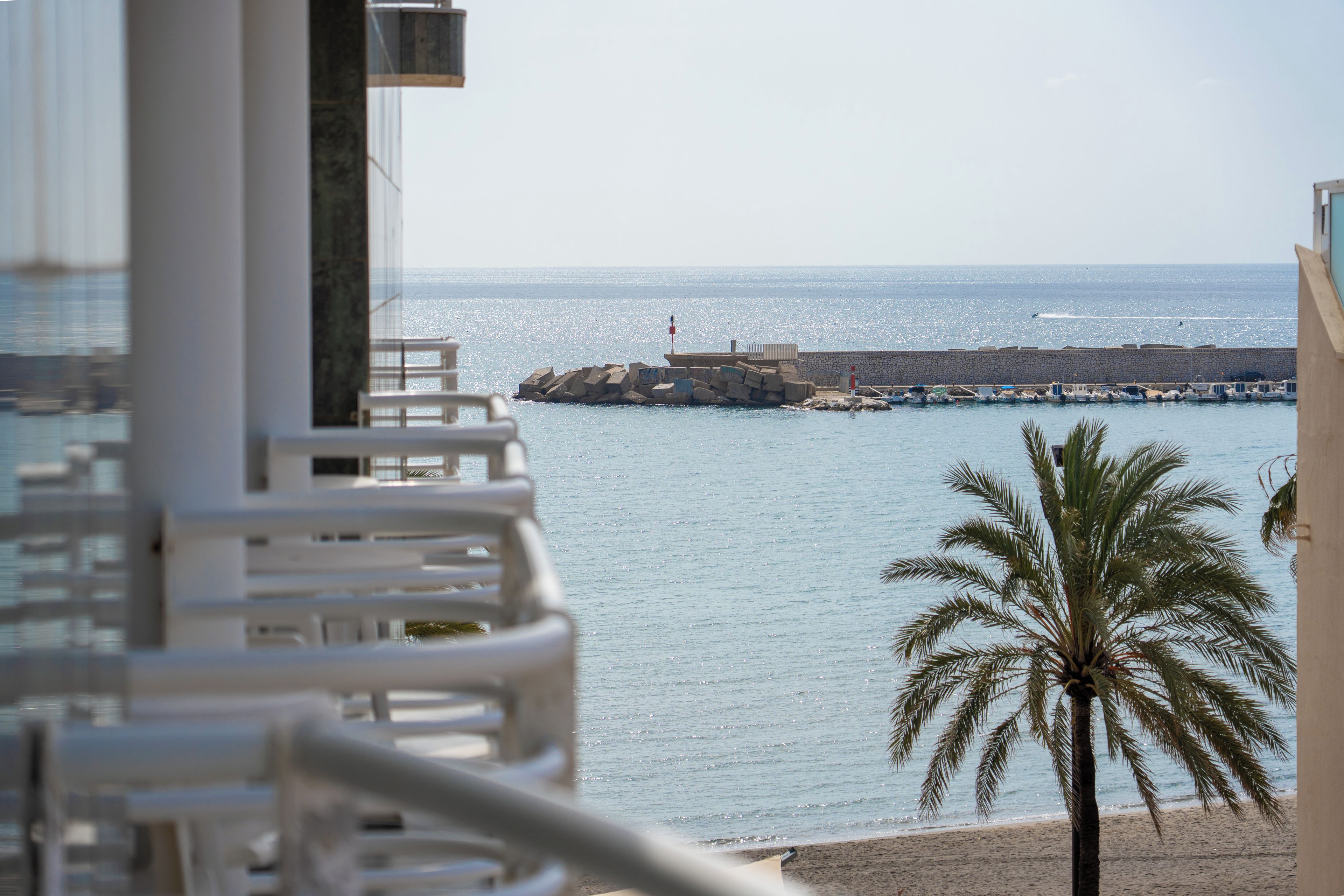 Vista costera desde un balcón con una palmera, un muelle y barcos.