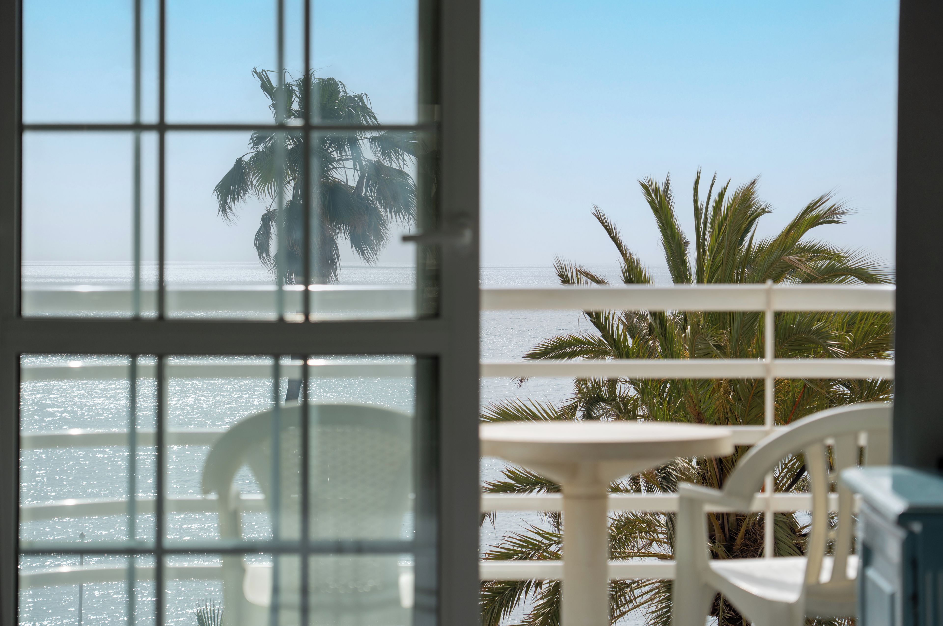 Ein Balkon mit Blick auf das Meer und Palmen.