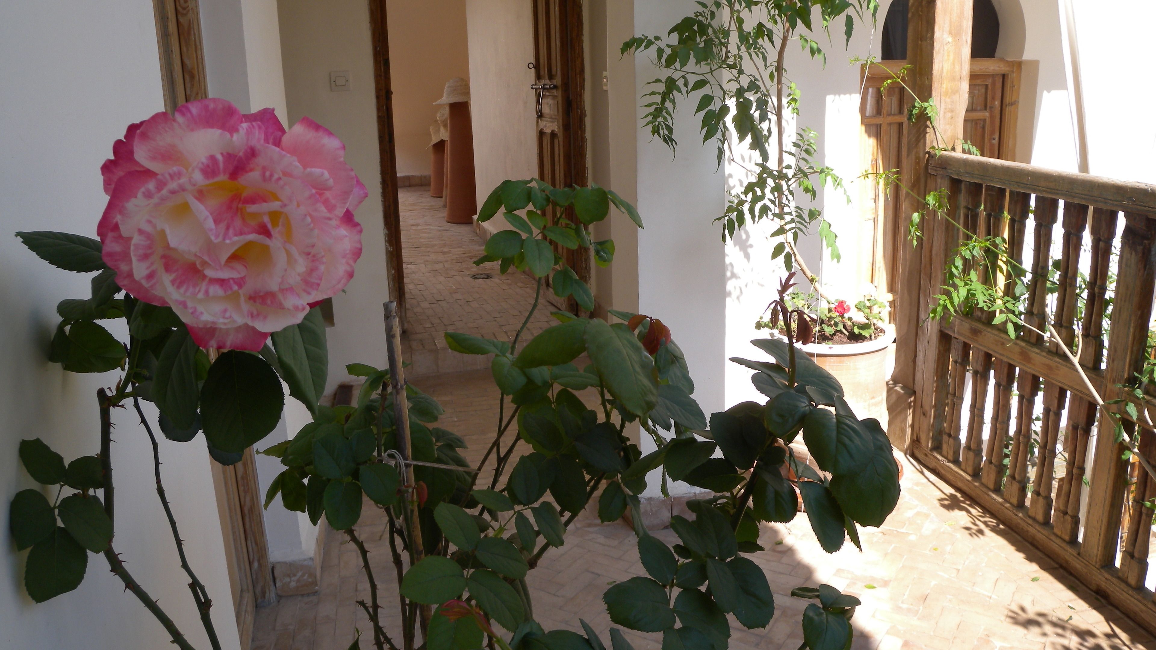 Foto - Riad Le Coq Berbère