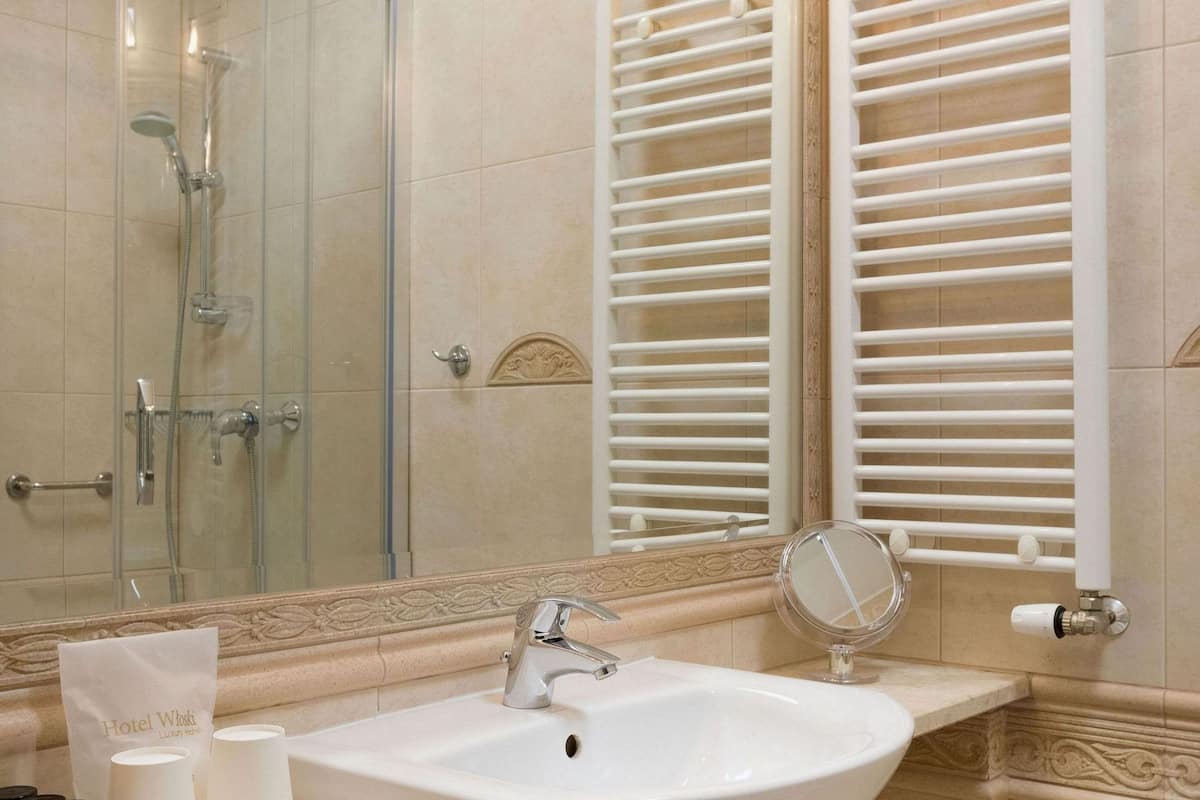 shower, free toiletries, hair dryer, towels