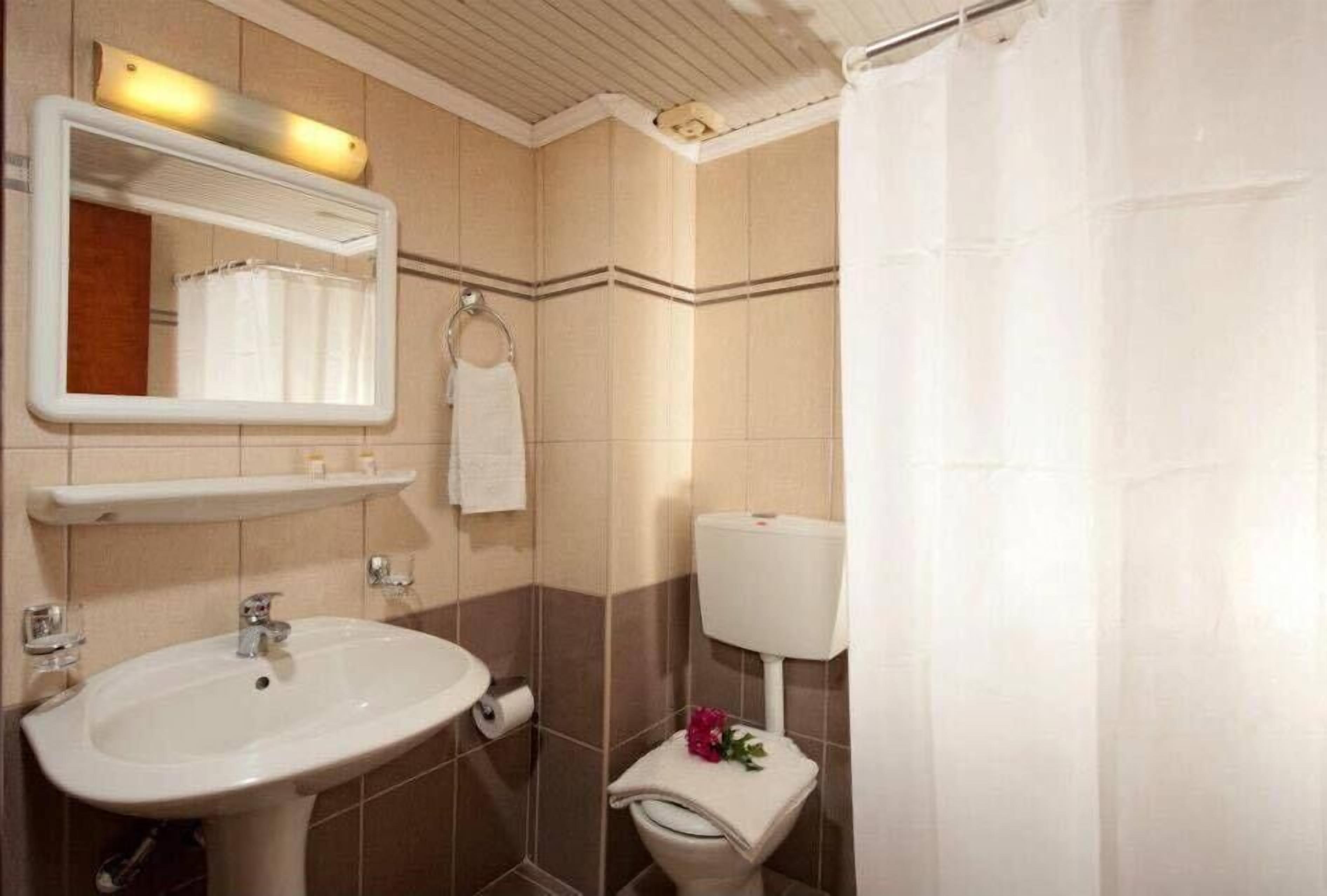 A bathroom with a sink, mirror, toilet, and shower curtain.