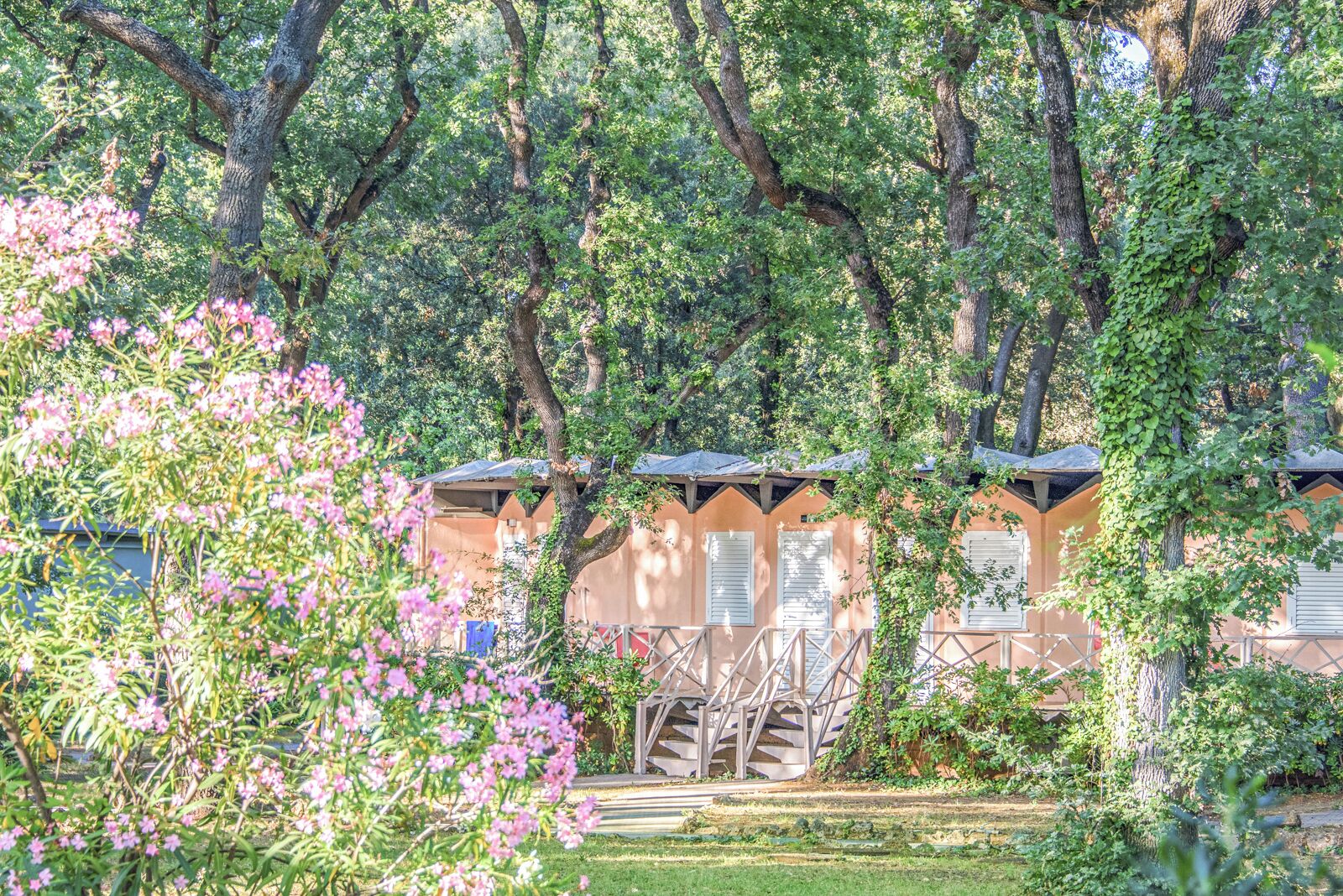 Vue sur le jardin