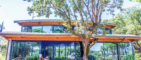 Un edificio moderno de dos pisos con un gran árbol en la parte delantera.