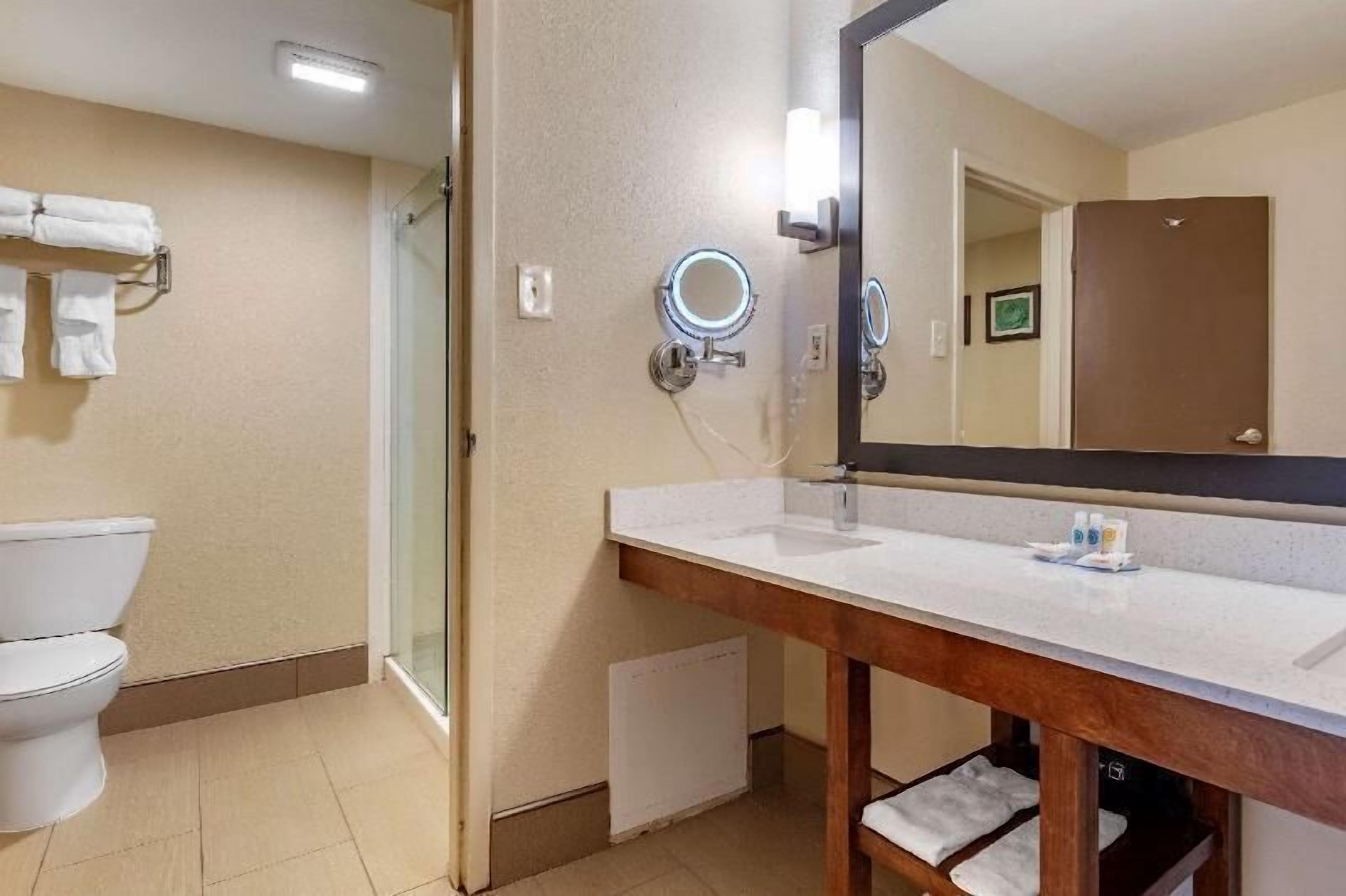 A bathroom with a toilet, a sink with a mirror, and a shower area.