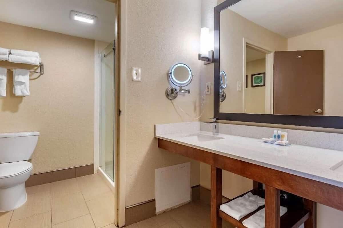 Casa de banho com sanita, lavatório com espelho e zona de duche.