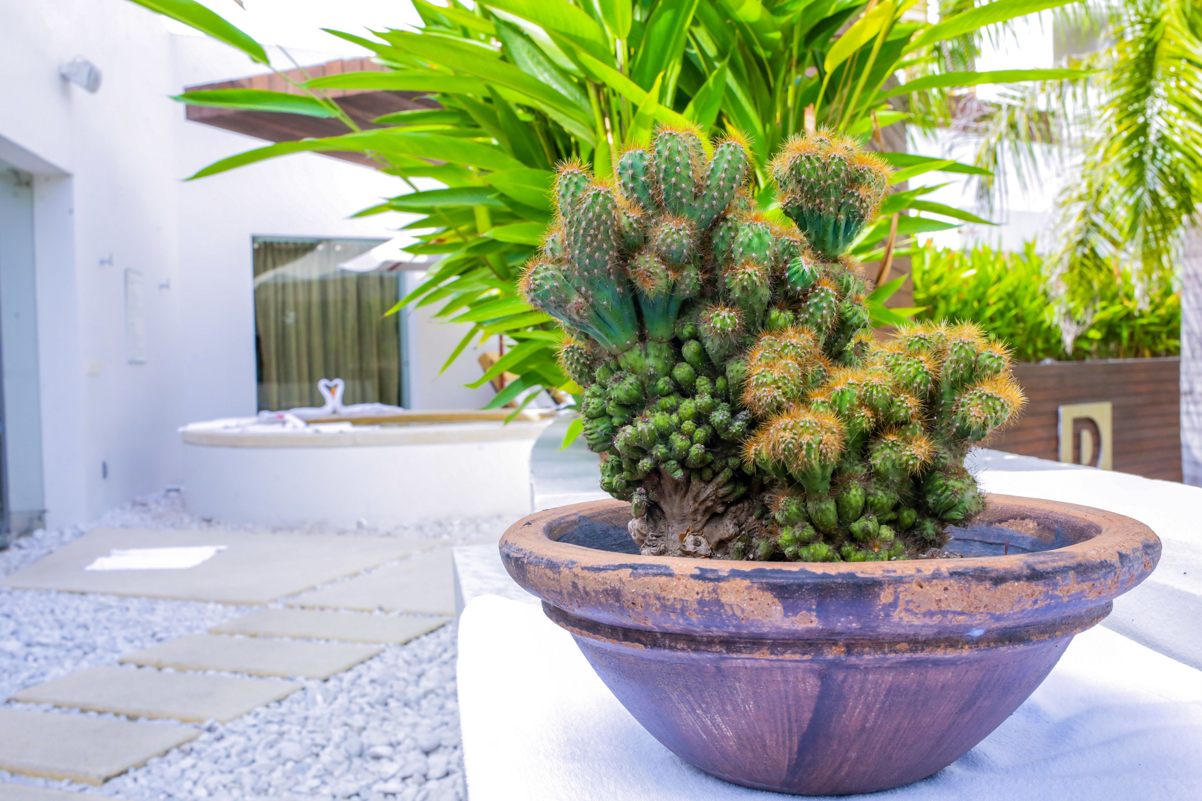 Foto - Marival Distinct All-Suites & World Spa - Handwritten Collection