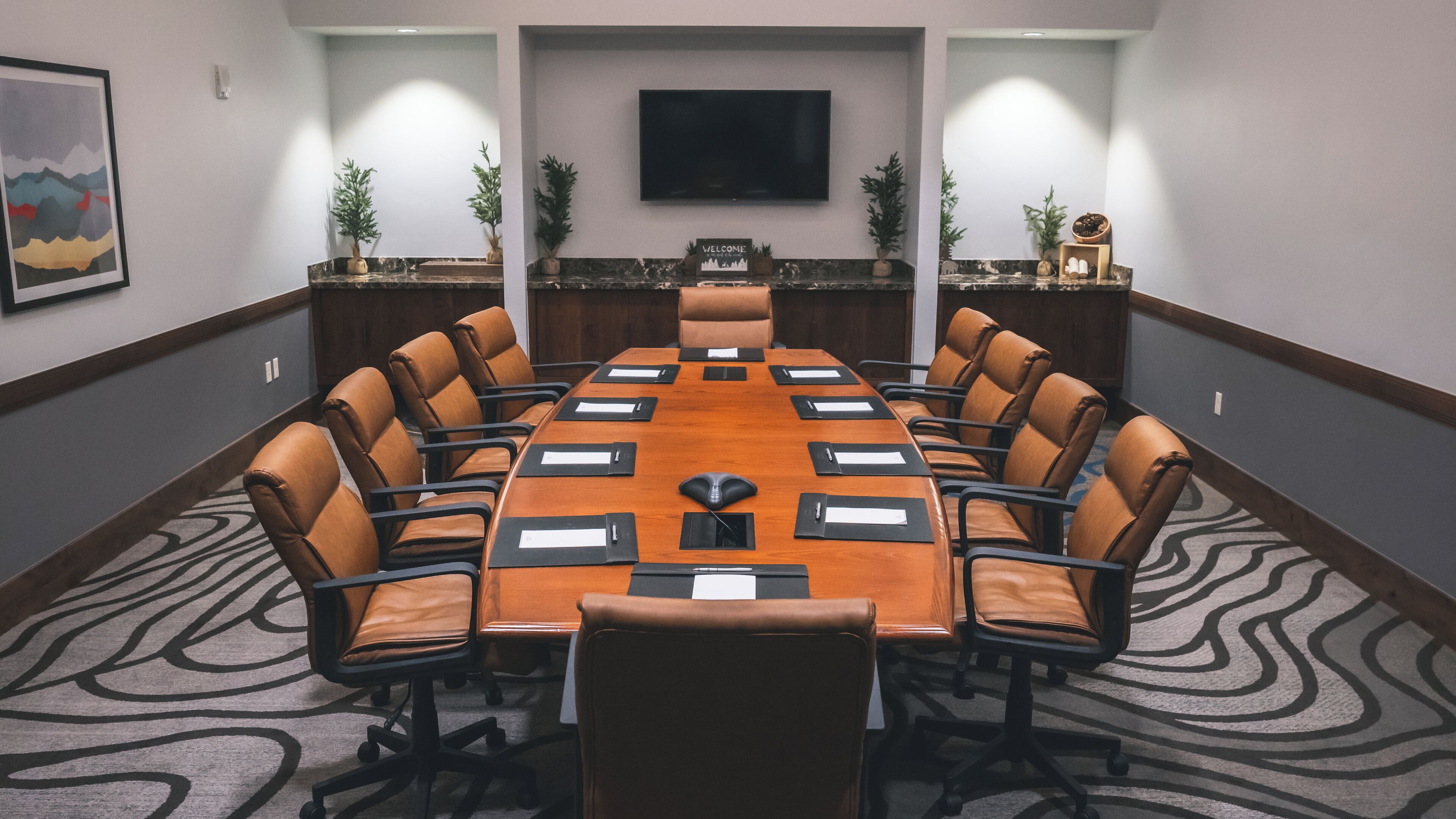 A conference room with a long table, leather chairs, a mounted TV, and potted plants.
