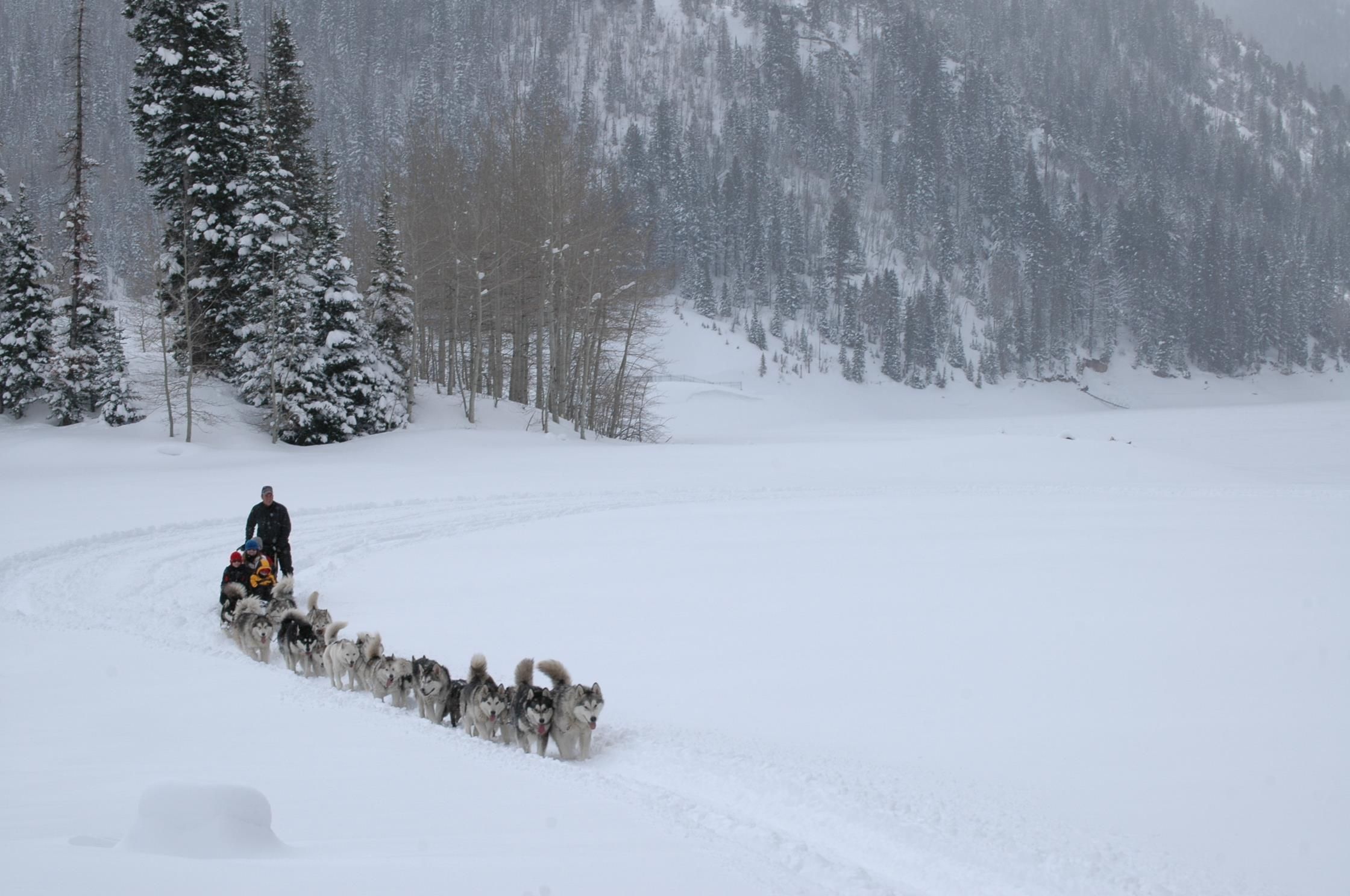 A snowy landscape with a person leading a team of sled dogs.