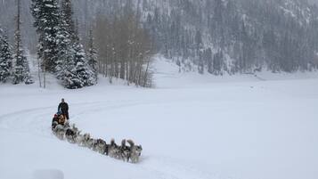 A snowy landscape with a person leading a team of sled dogs.