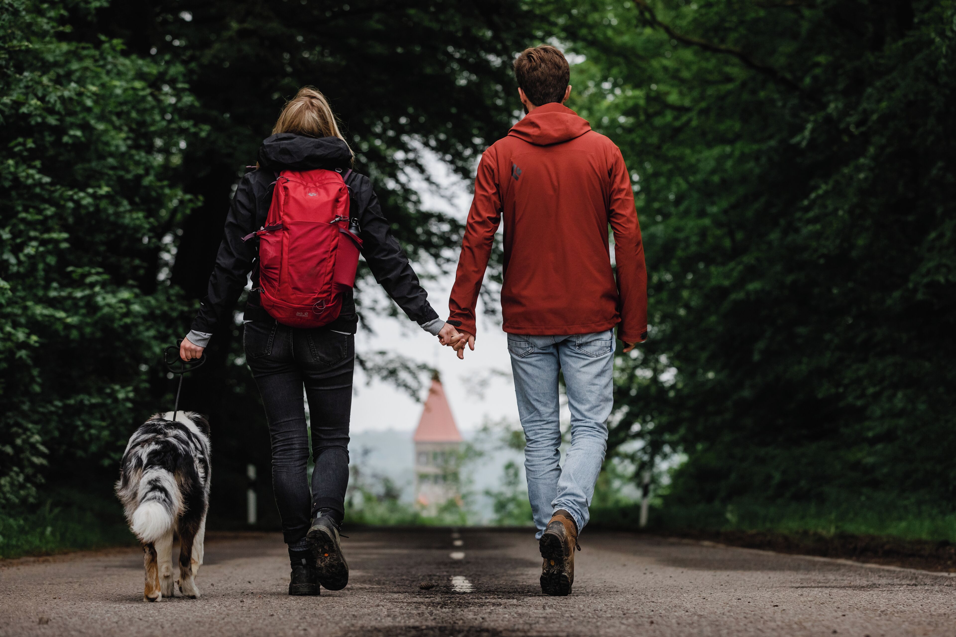 Due persone passeggiano con un cane su un vialetto alberato.
