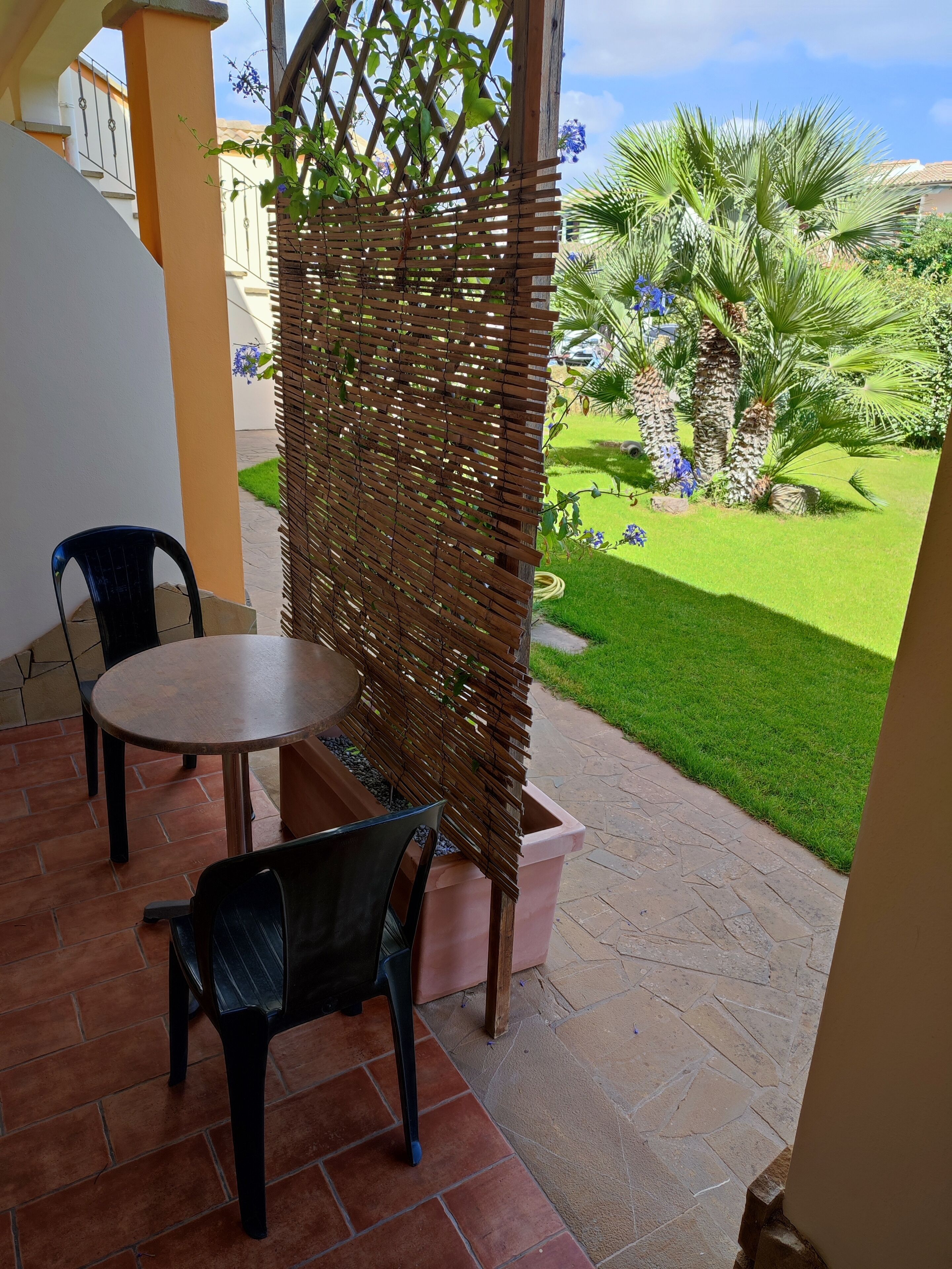 An outdoor patio with a table and chairs, a wooden lattice partition, and a well-maintained garden with grass and palm trees.