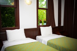 Habitación estándar doble de uso individual, 2 camas individuales, no fumadores | Vistas desde la habitación