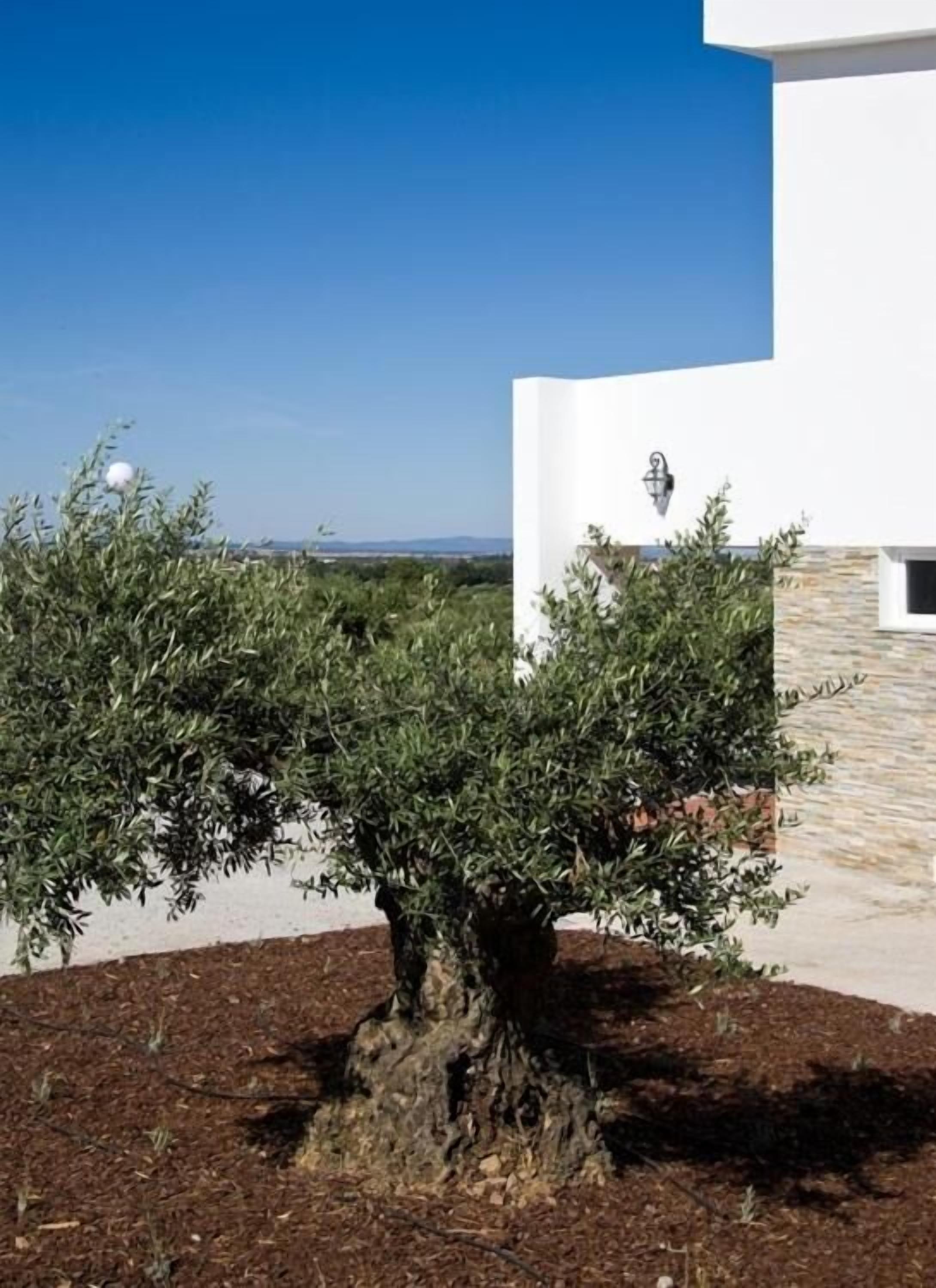 Photo - Hotel Quinta Dos Bastos