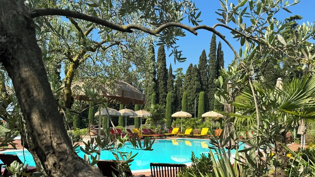 Ein Poolbereich mit Liegestühlen und Sonnenschirmen, umgeben von Bäumen und viel Grün.