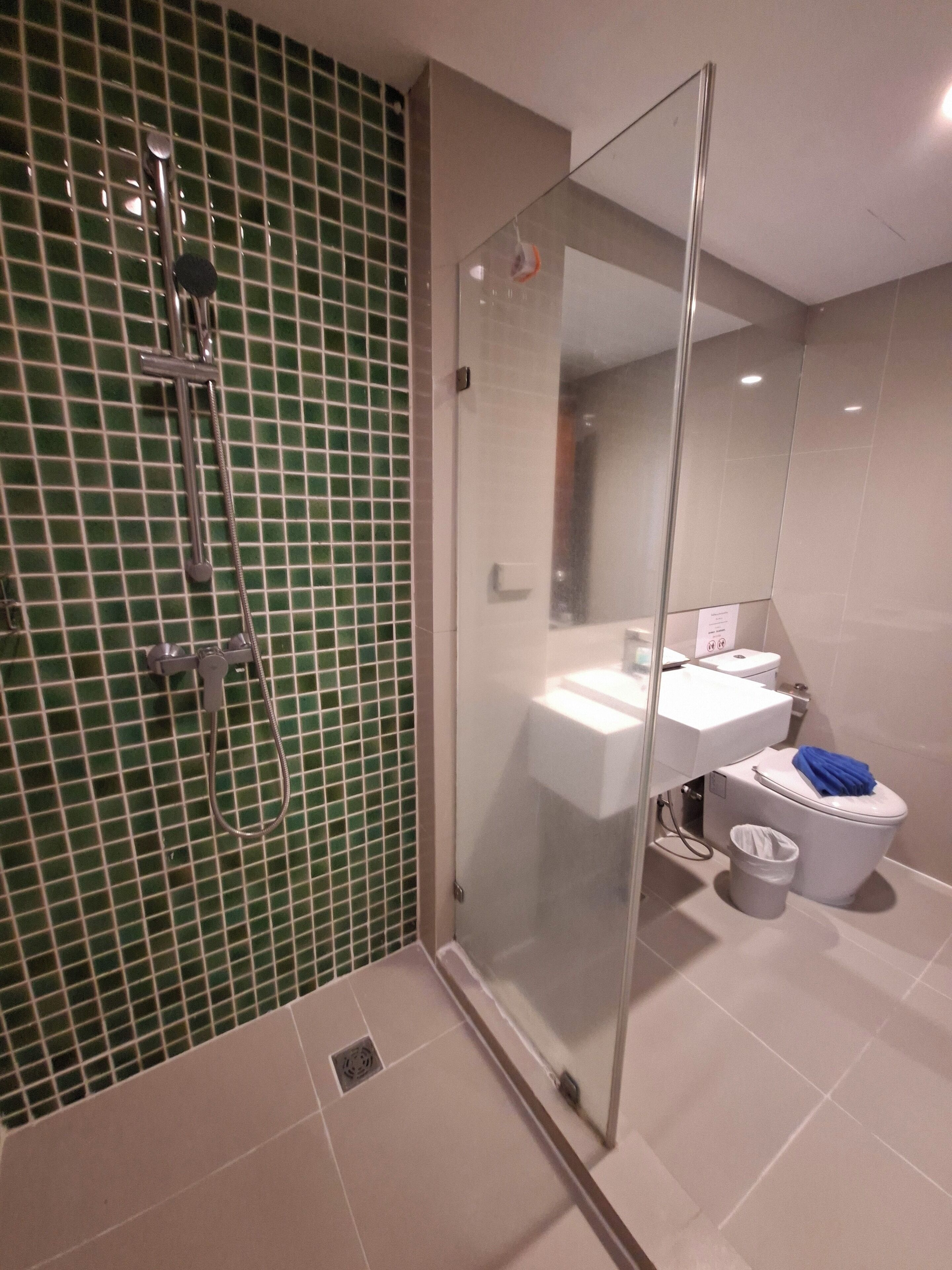A modern bathroom with a glass-enclosed shower, a white sink, and a toilet.