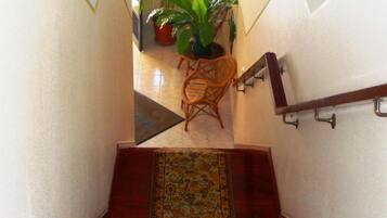 Un escalier recouvert d’une moquette à motifs, une chaise en osier et des plantes en pot.