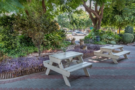Garden view