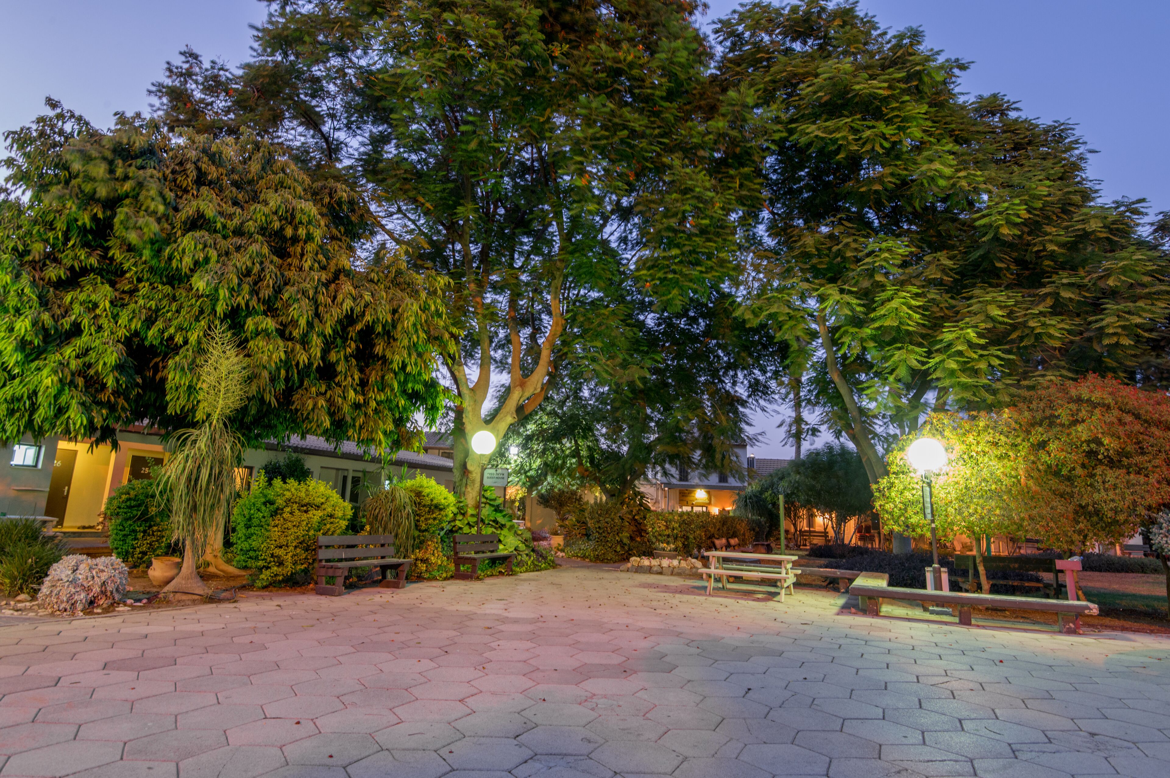 Garden view