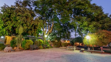 Garden view