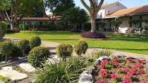 Un jardín bien cuidado con diversas plantas y un gran árbol en el centro.