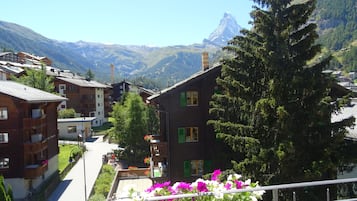 Vista a la montaña