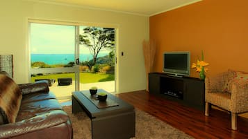 Flat-screen TV