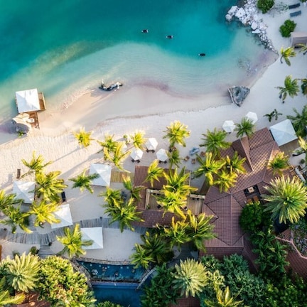 An aerial view of a resort with a beach, palm trees, and a swimming pool.