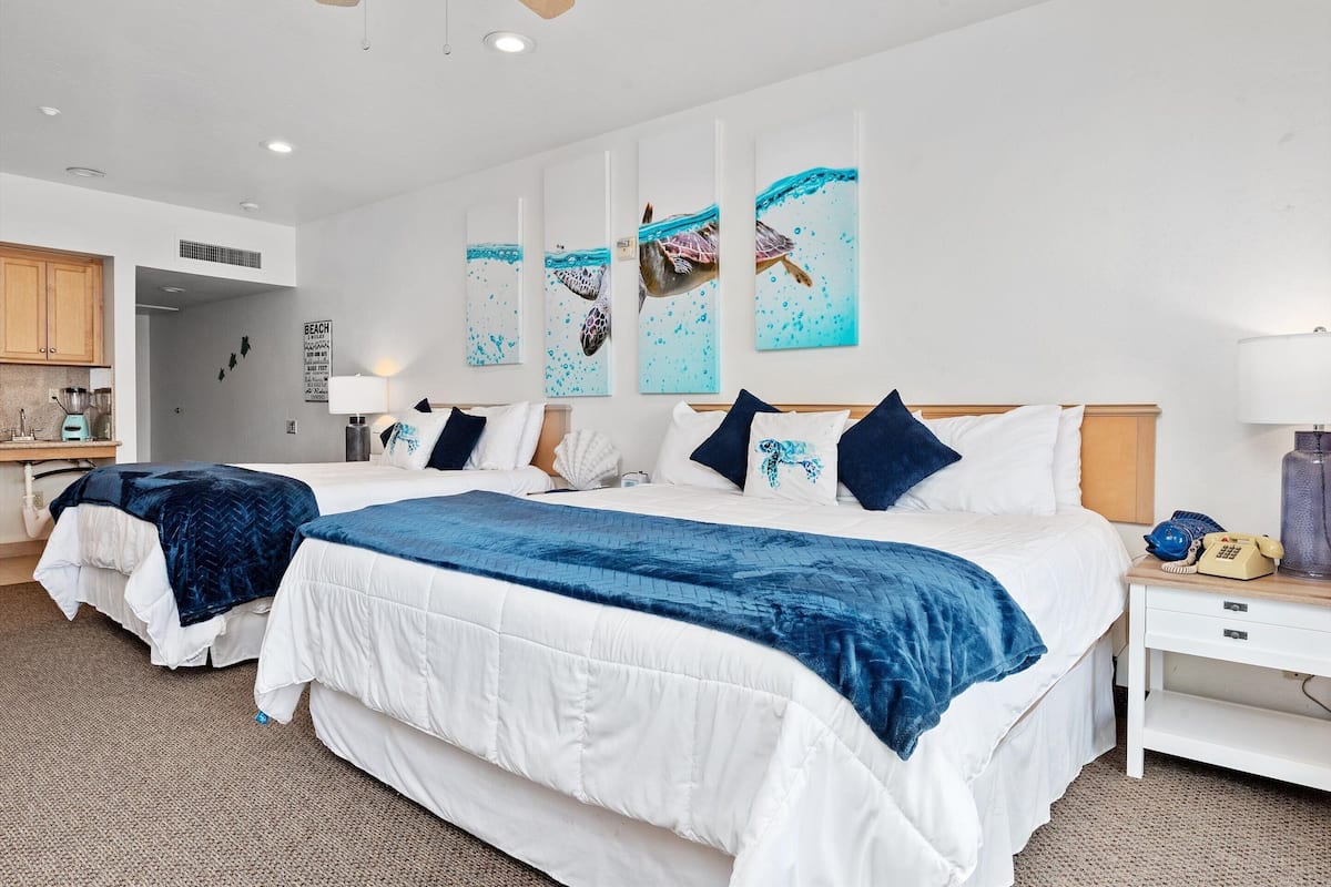 206 - Sea Turtle | Living area