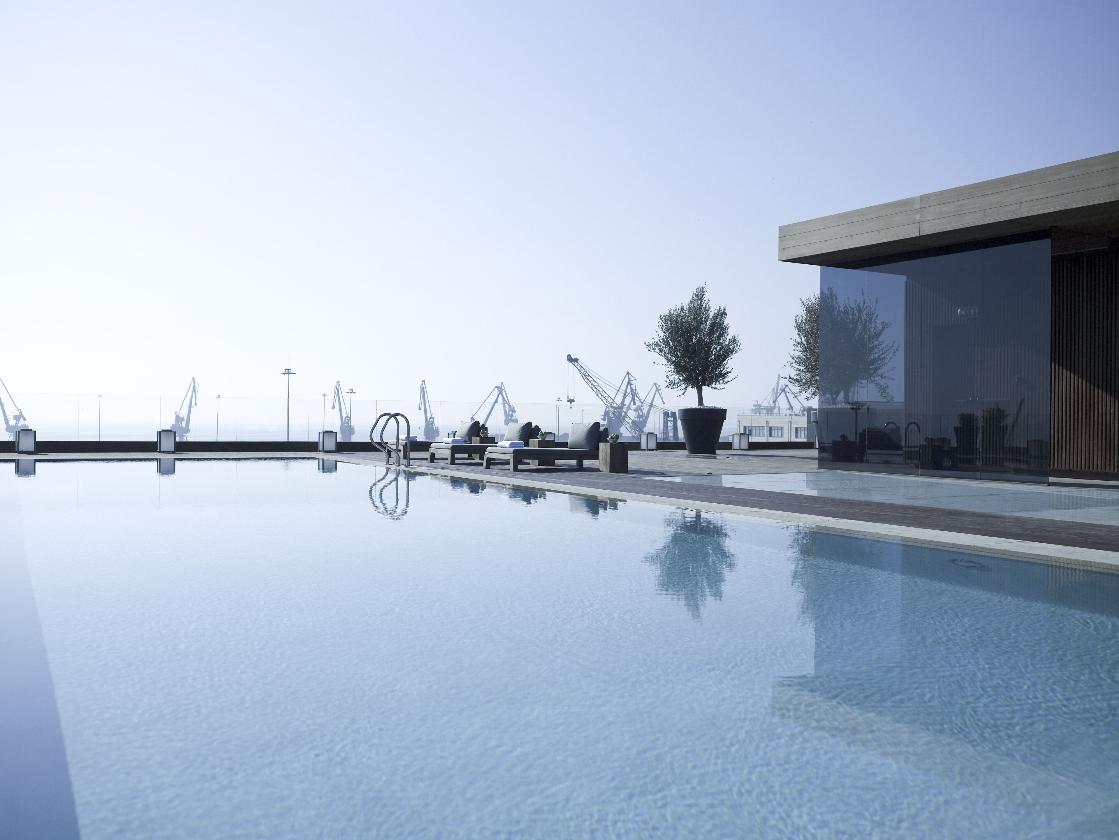Un área de piscina moderna con sillones de descanso y un árbol en maceta.