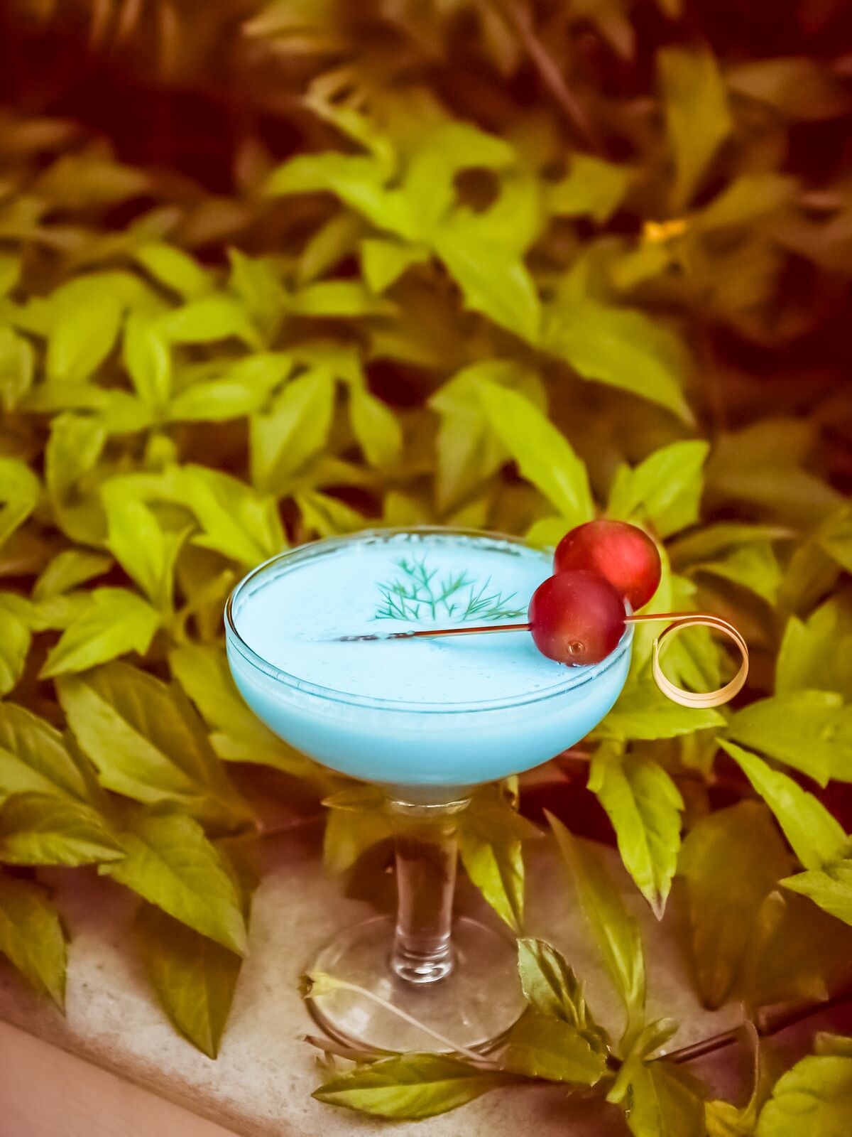 A cocktail in a glass with a blue rim, garnished with a sprig and a red berry, set against a background of green leaves.