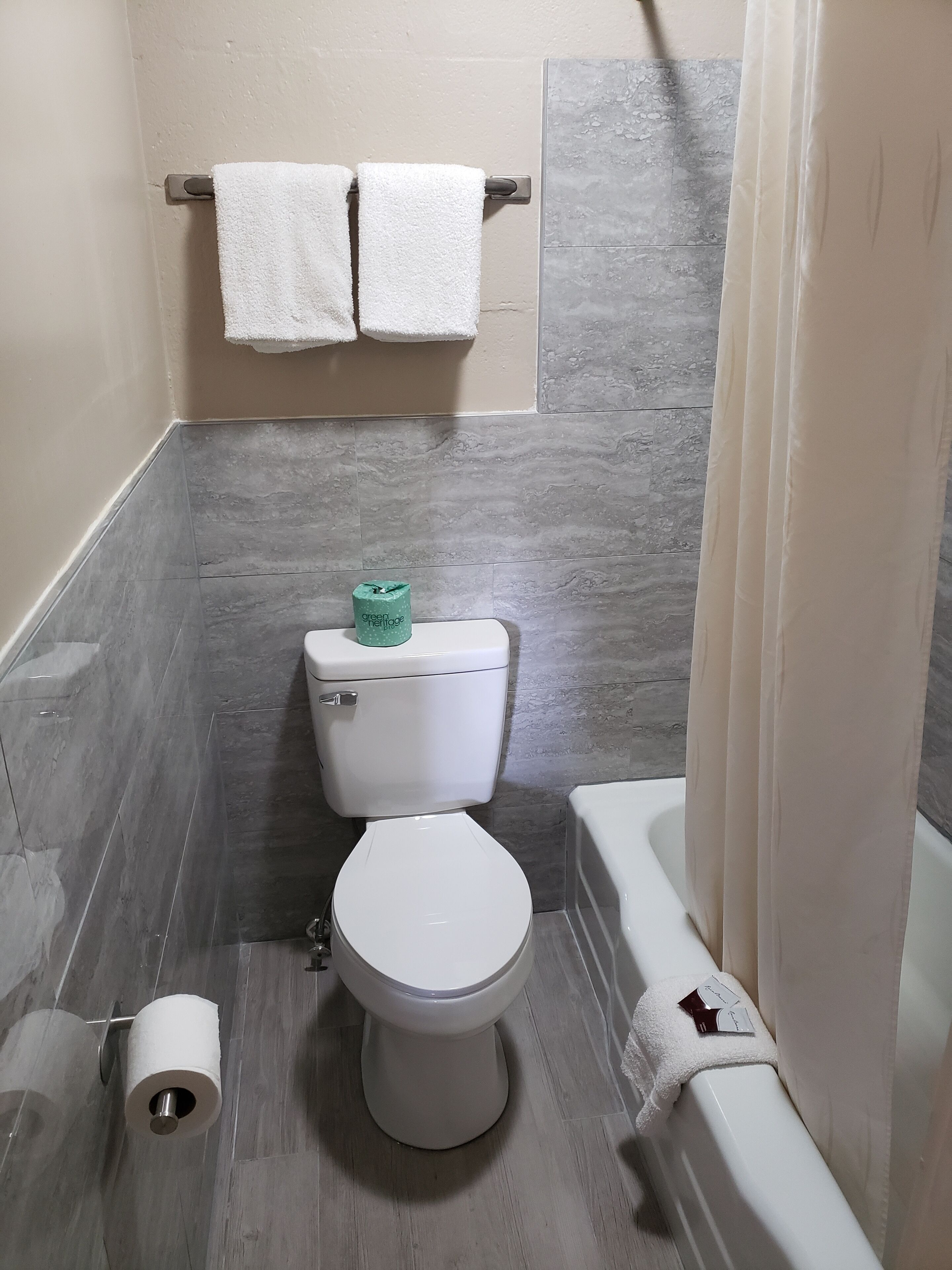 A bathroom with a toilet, a bathtub, and a shower curtain.