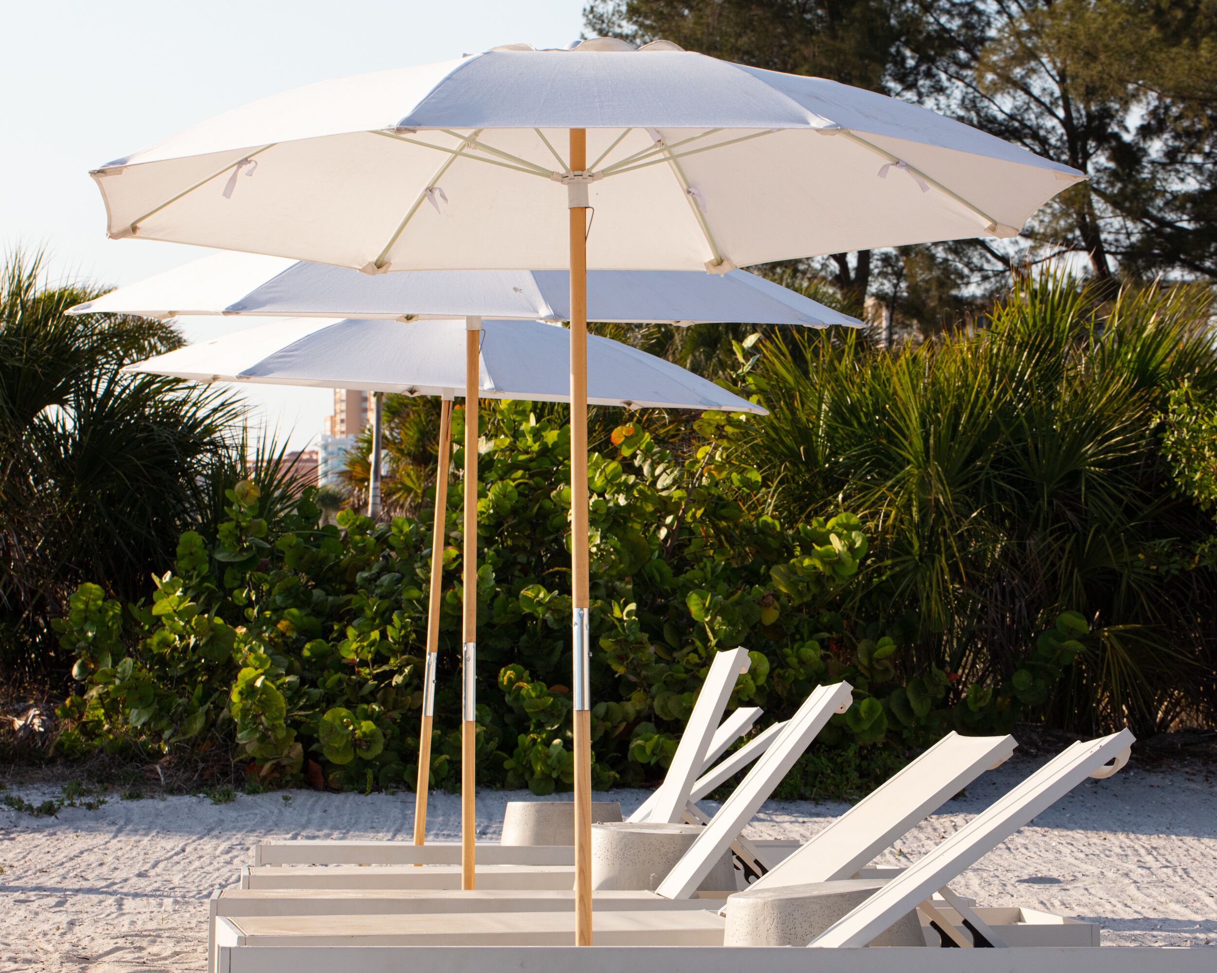 A beach with white lounge chairs and umbrellas, surrounded by greenery.