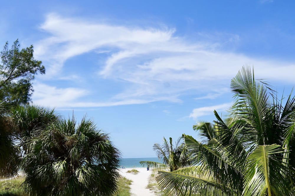 The Molloy - A Boutique Beach Resort
