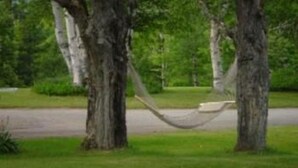 A hammock between two trees in a grassy area. - Patio Motor Court (Twin Mountain)
