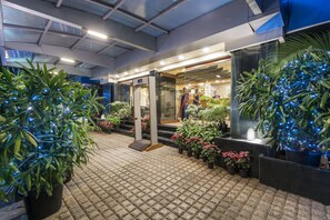 Un jardín interior bien iluminado con plantas en macetas y un acceso por puerta de vidrio.