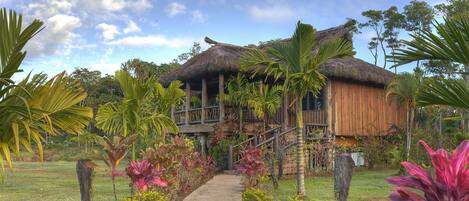 A thatched-roof structure with a wooden deck and a pathway leading to it, surrounded by tropical vegetation.