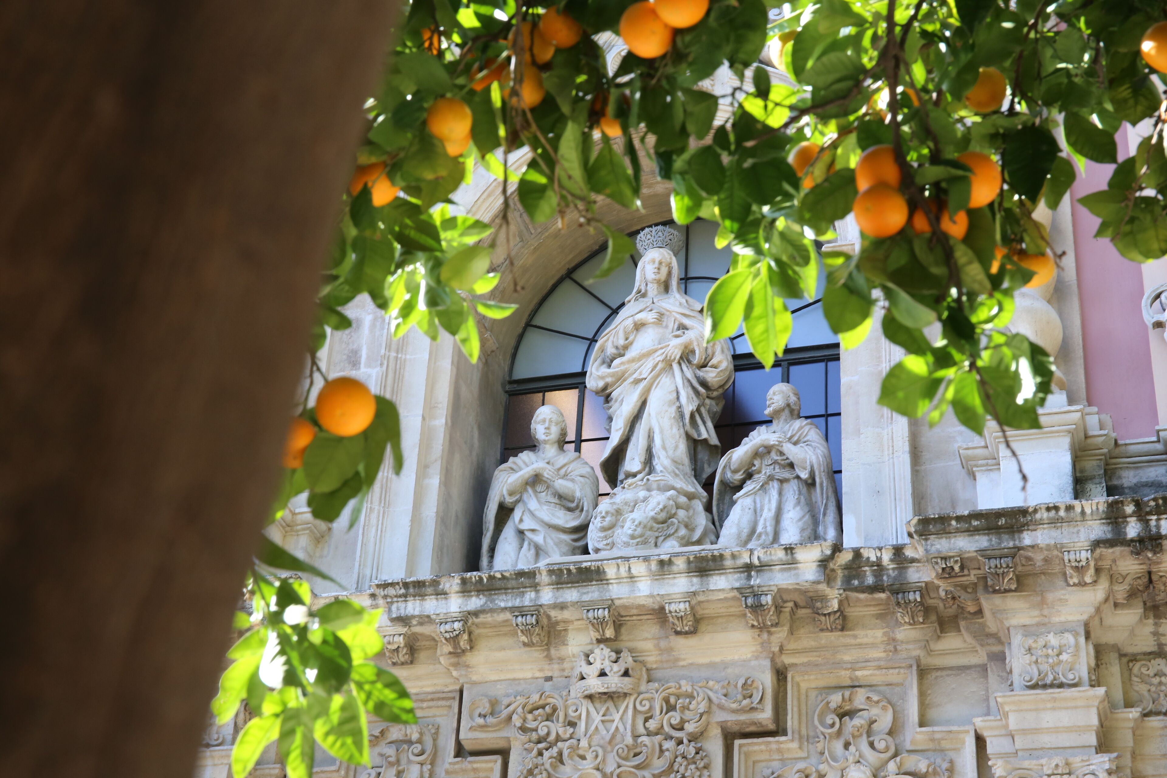 Foto - Hostal Paco´s