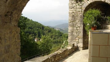 Vista montagna