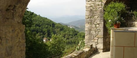 Vista a la montaña
