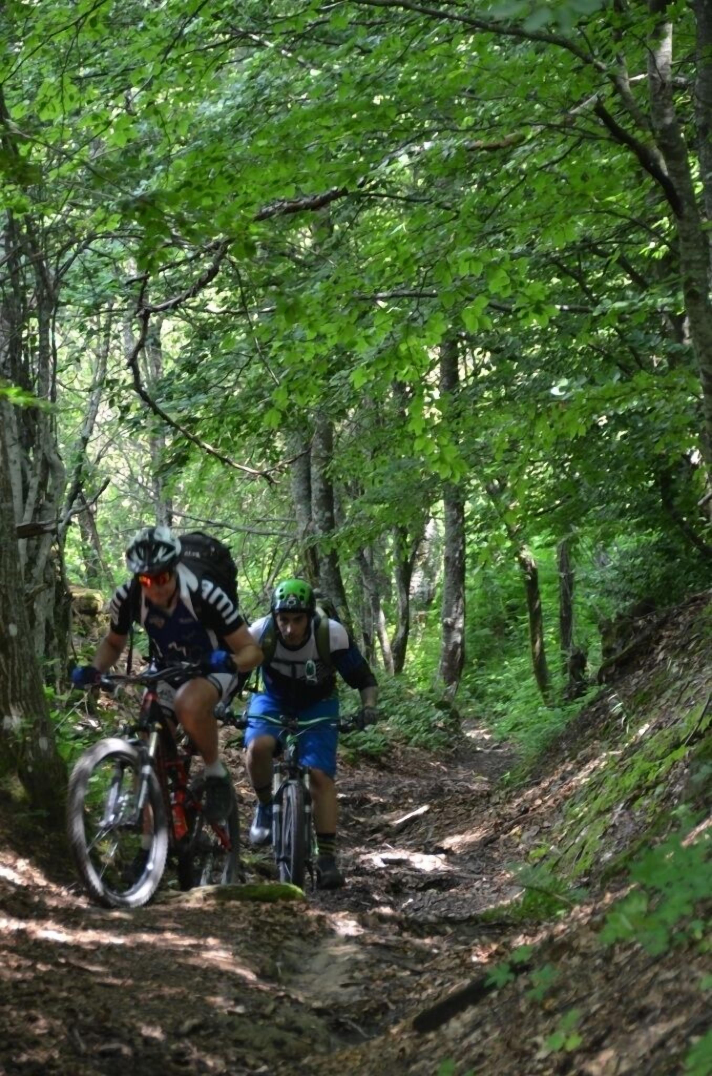 Foto - La Locanda Del Podestà Cinque terre
