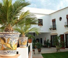 Un patio con plantas en macetas y un edificio blanco con balcones.