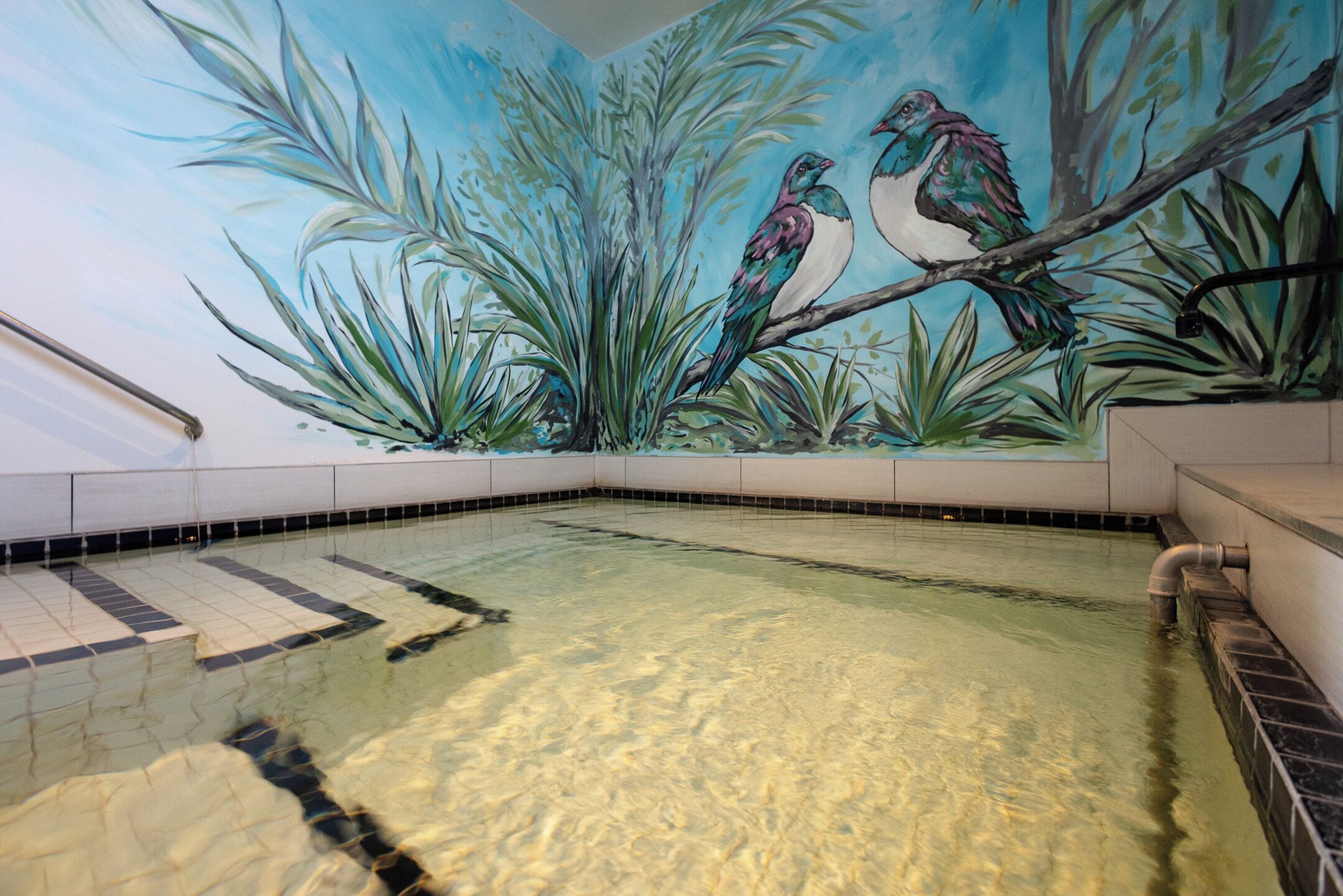 室外游泳池，池畔遮阳伞，日光浴躺椅