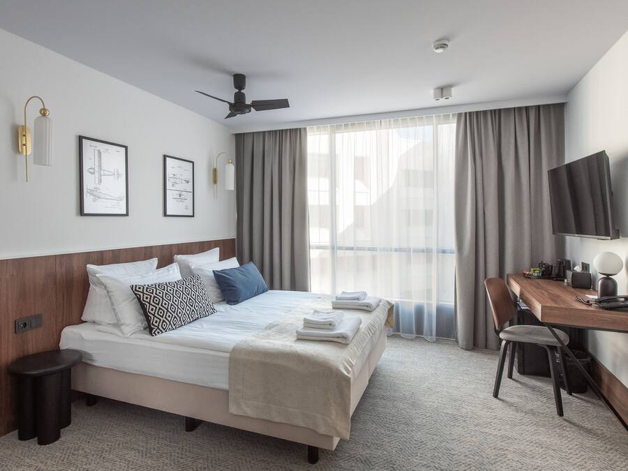 Business Deluxe room | Minibar, desk, soundproofing, iron/ironing board (on request)