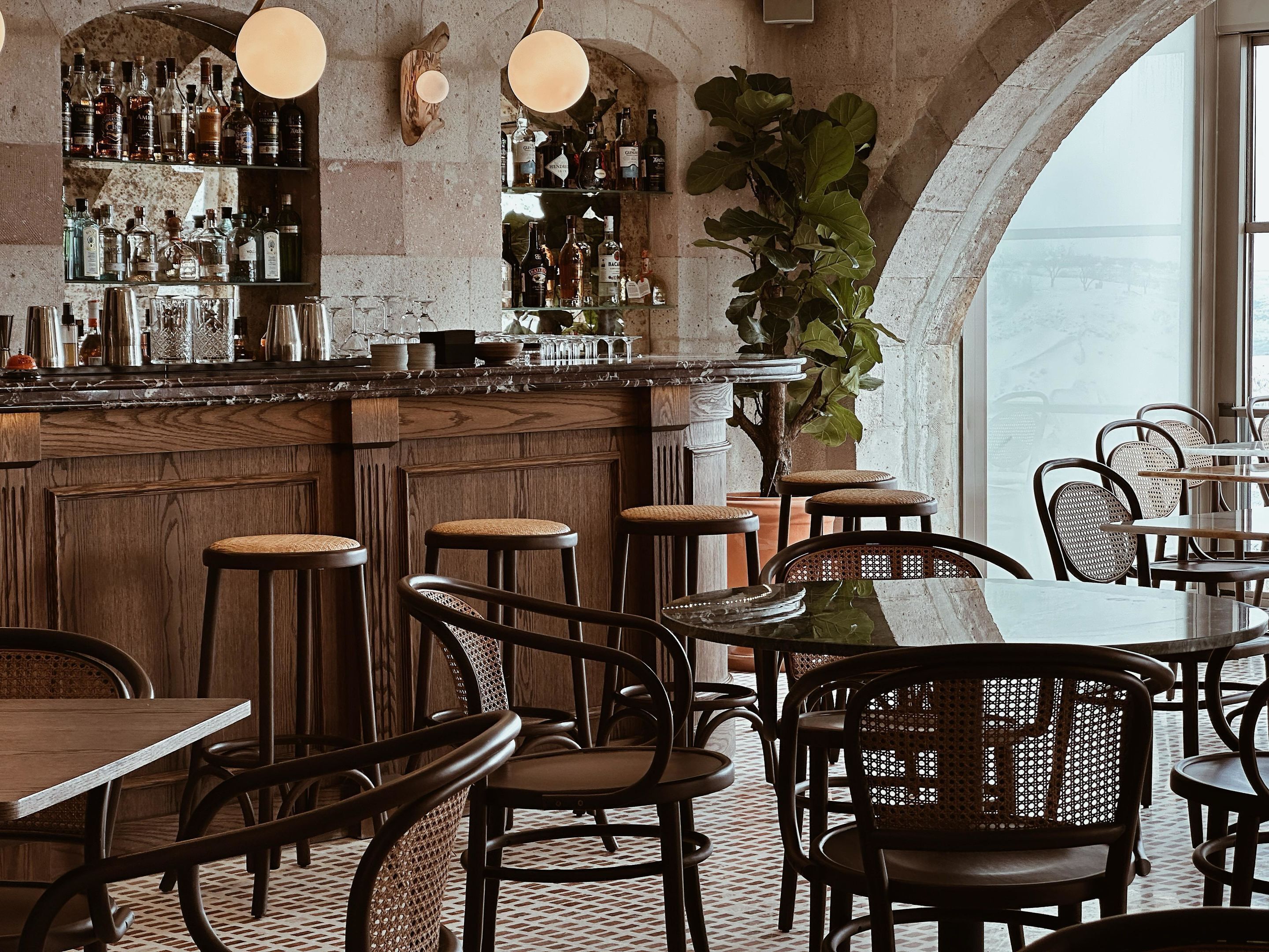 Zona de bar con taburetes de madera, mostrador con diferentes botellas y una planta grande en maceta.