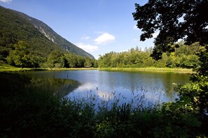 Vue depuis l’hébergement