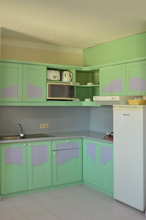 Fridge, microwave, stovetop, electric kettle
