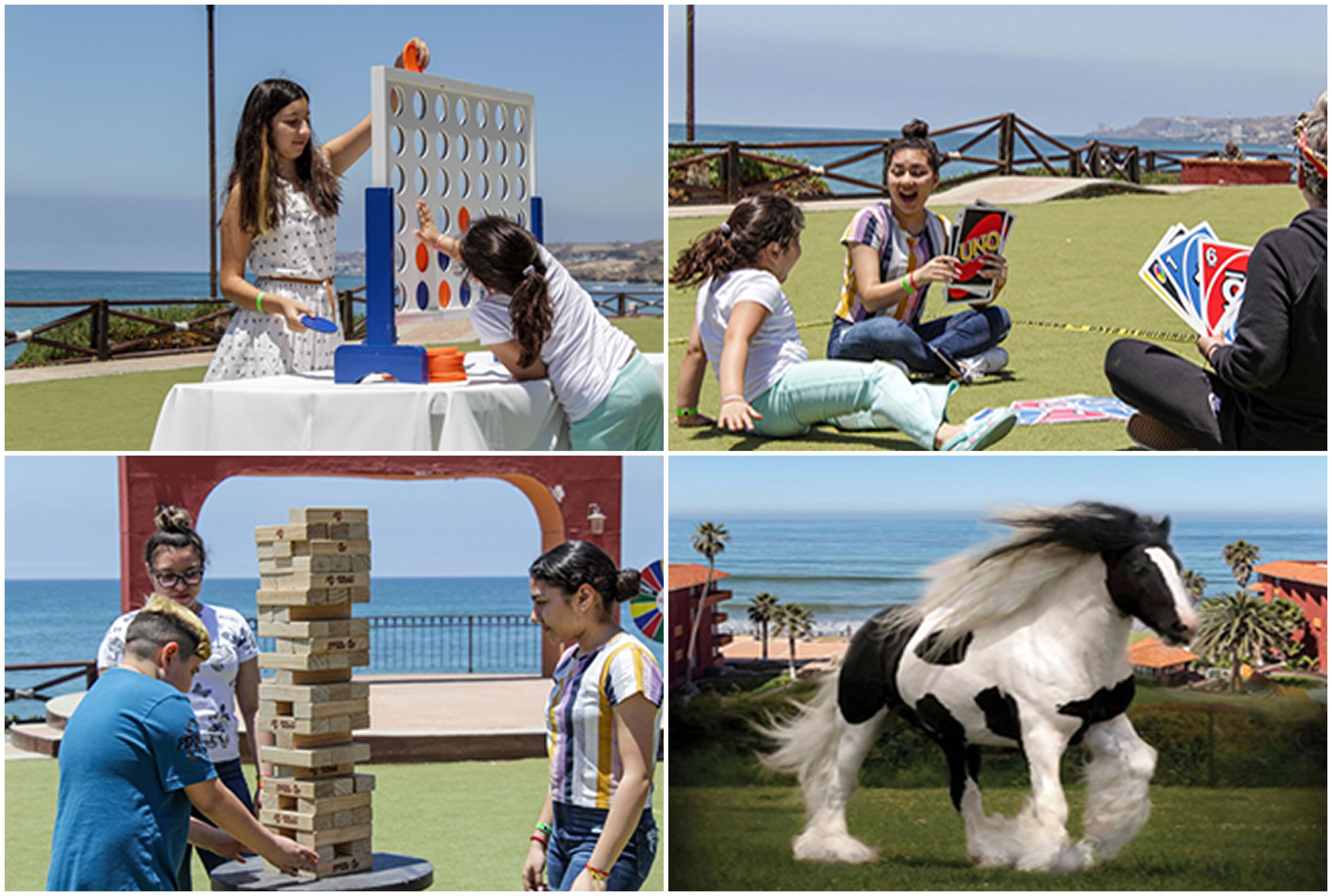 Un juego de mesa, un caballo y una playa.