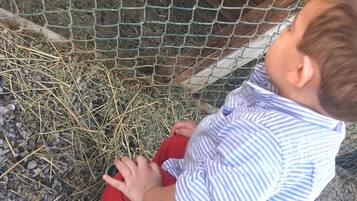Una persona sentada en el suelo cerca de una valla de alambre, posiblemente en una granja o evento al aire libre.