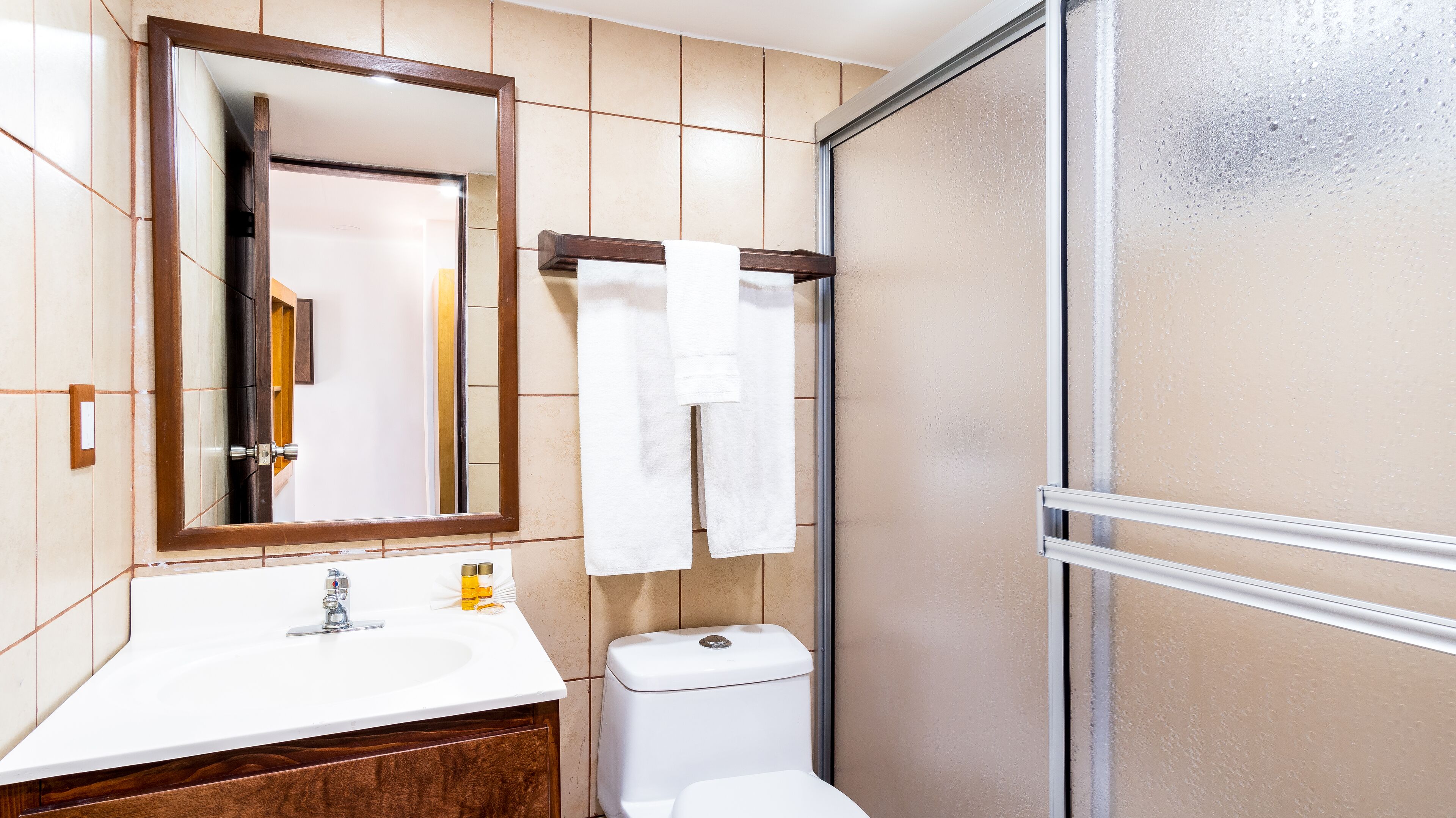 Een badkamer met een witte wastafel, een spiegel, een toilet en een douche.