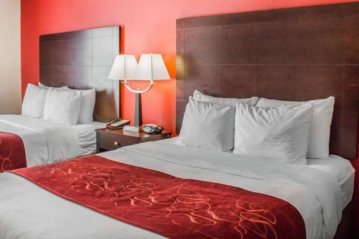 A hotel room with two beds, a red accent wall, a nightstand with a lamp, and a telephone.